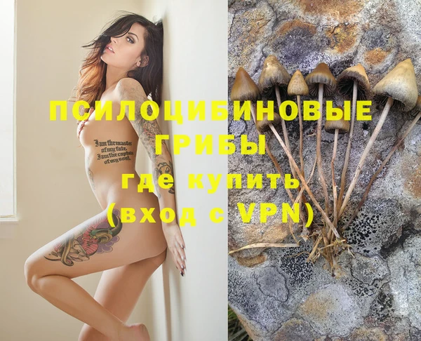 ешки Абаза