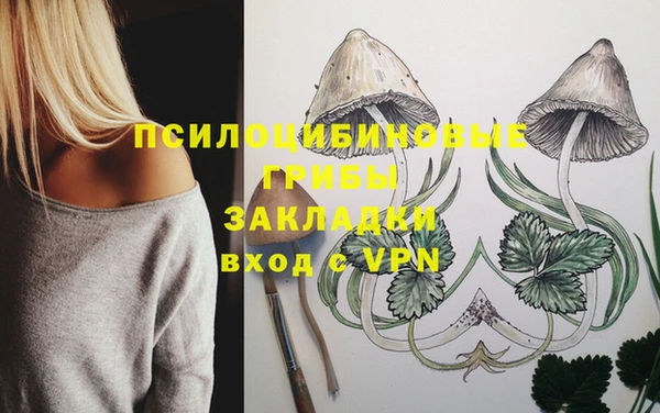 прущие крисы Абдулино