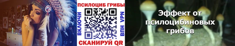 Псилоцибиновые грибы мухоморы  Суздаль 